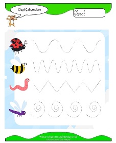 Çizgi Çalışma Sayfaları